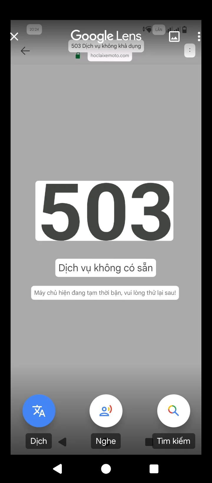 Ảnh đính kèm bình luận