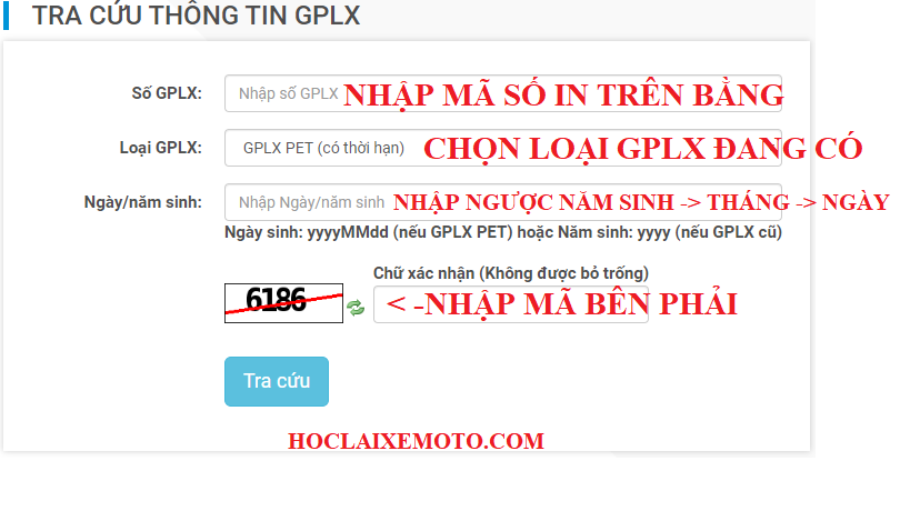 Giao diện tra cứu GPLX trực tuyến
