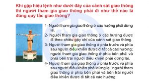 Phần Kiến Thức Luật - 200 Câu Hỏi Thi Bằng Lái Xe A1 2020